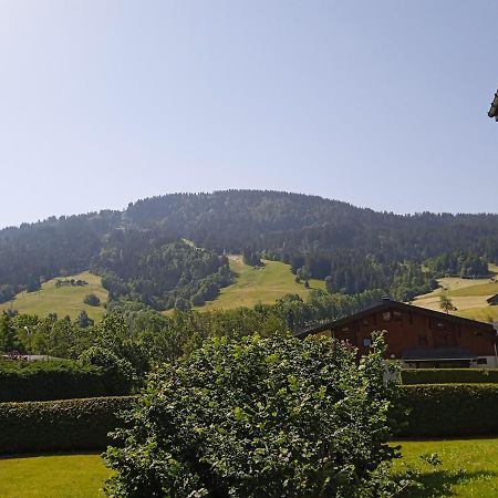 Appartement Studio PRAZ SUR ARLY Extérieur photo